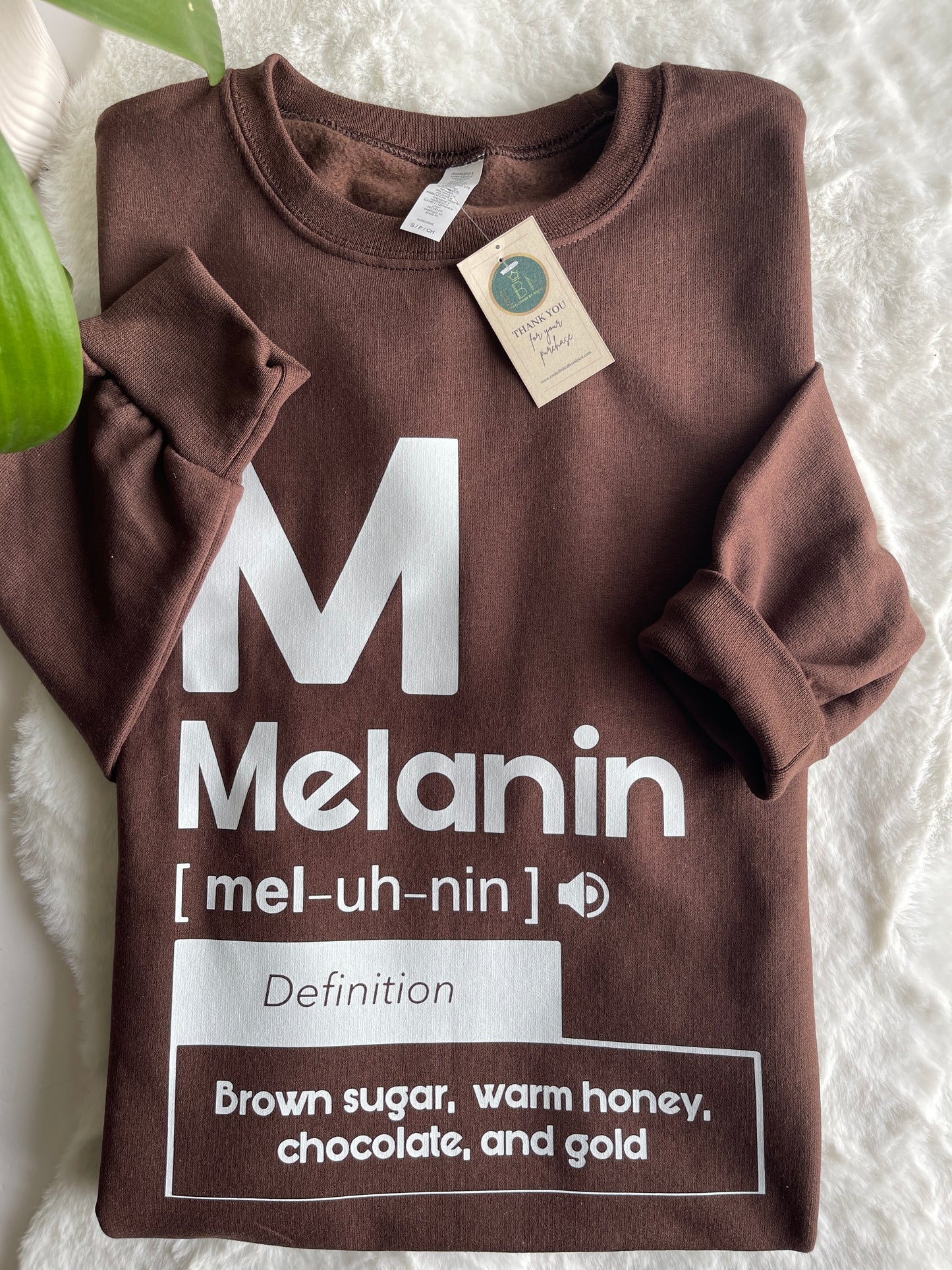 Melanin Definition (Brown)